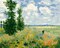 Paint by Numbers Landscape Kit for Adults – 16x20 inch DIY Oil Painting, Beginner Friendly, Poppy Field (No Frame)